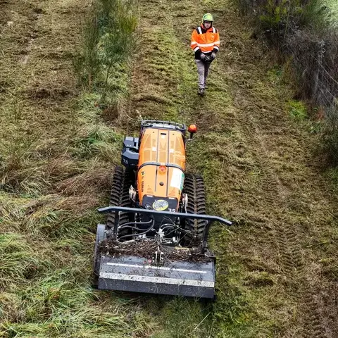 débroussaillage à Angers - image 3