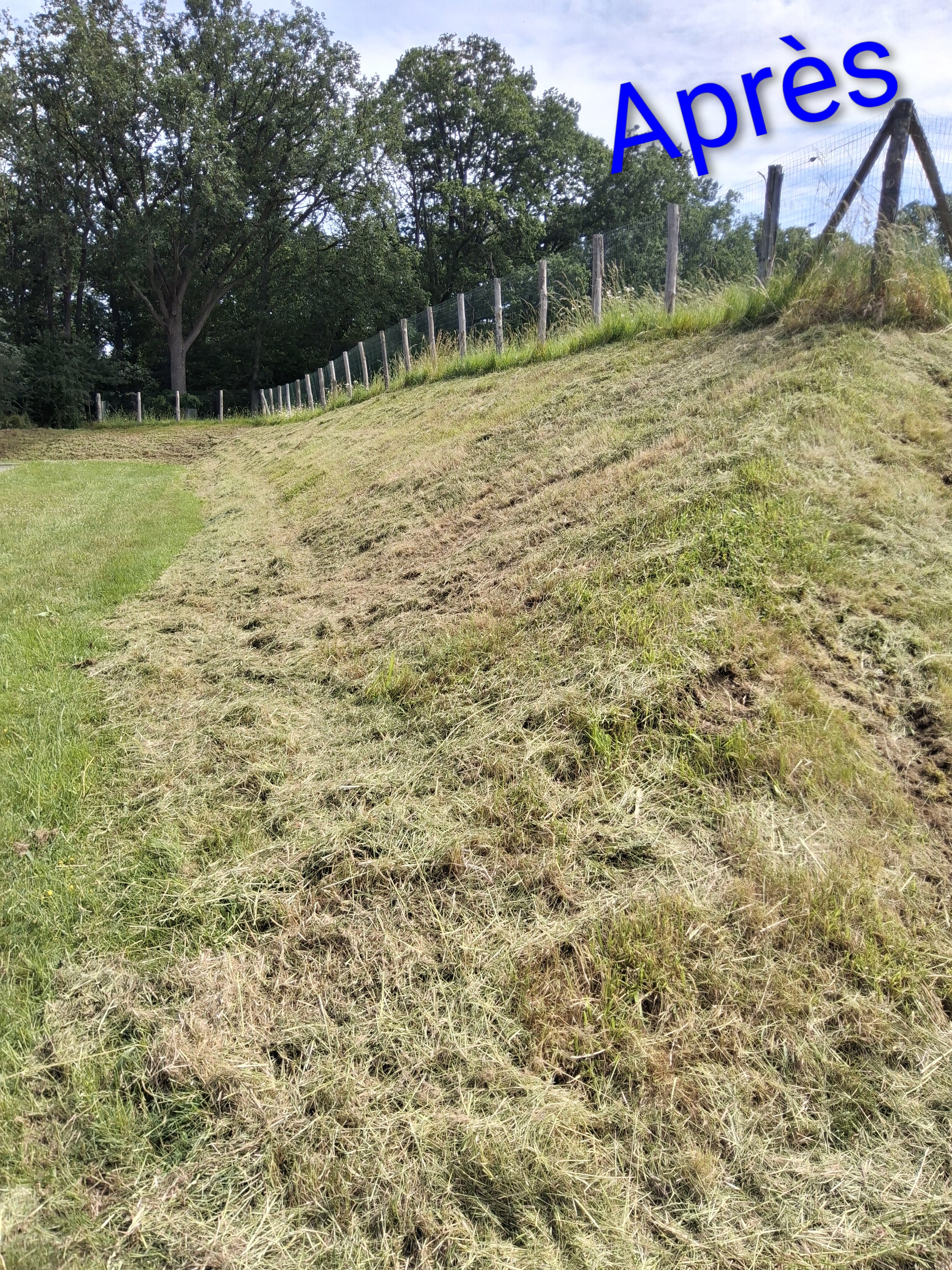 after-image