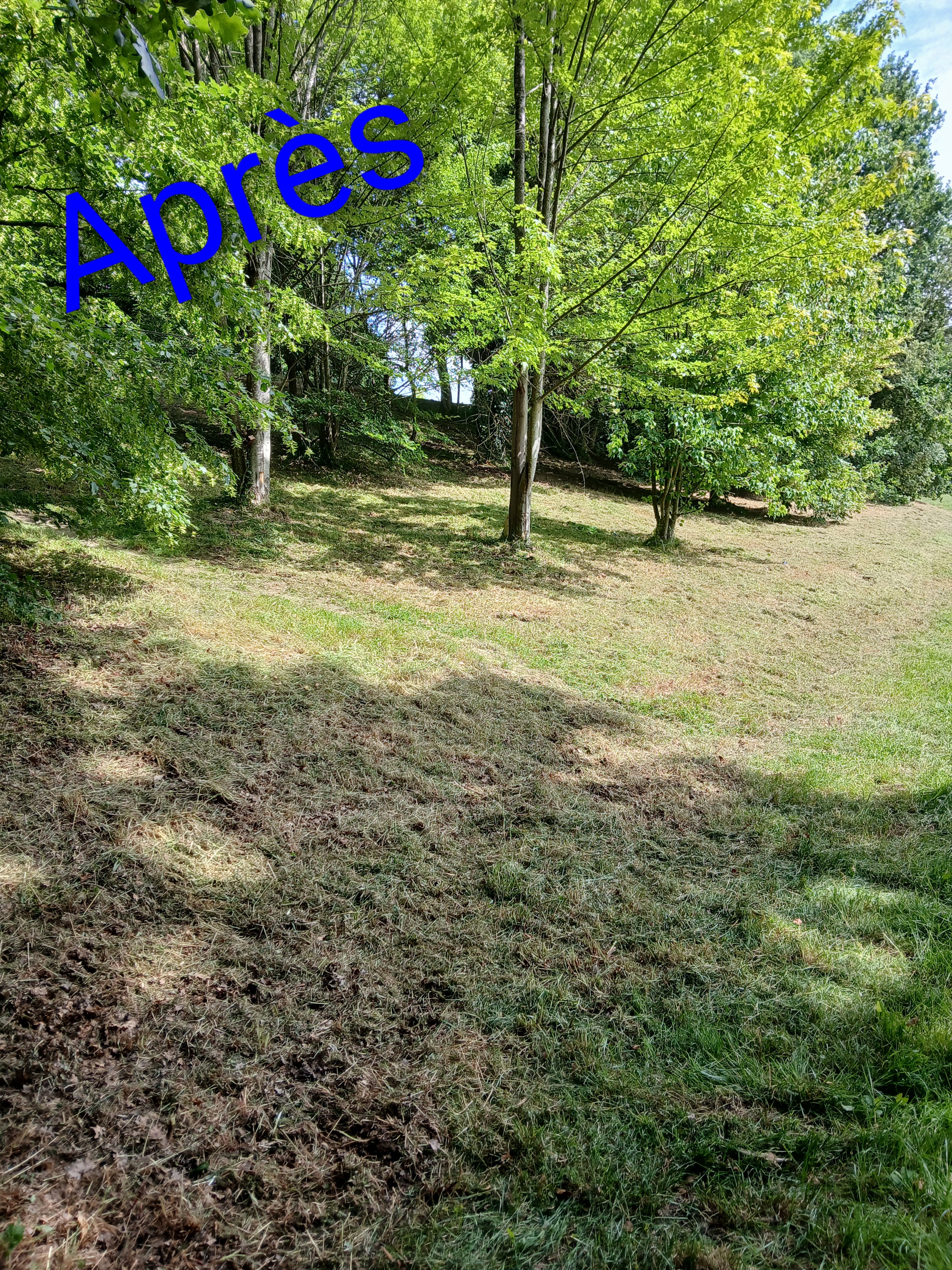 after-image