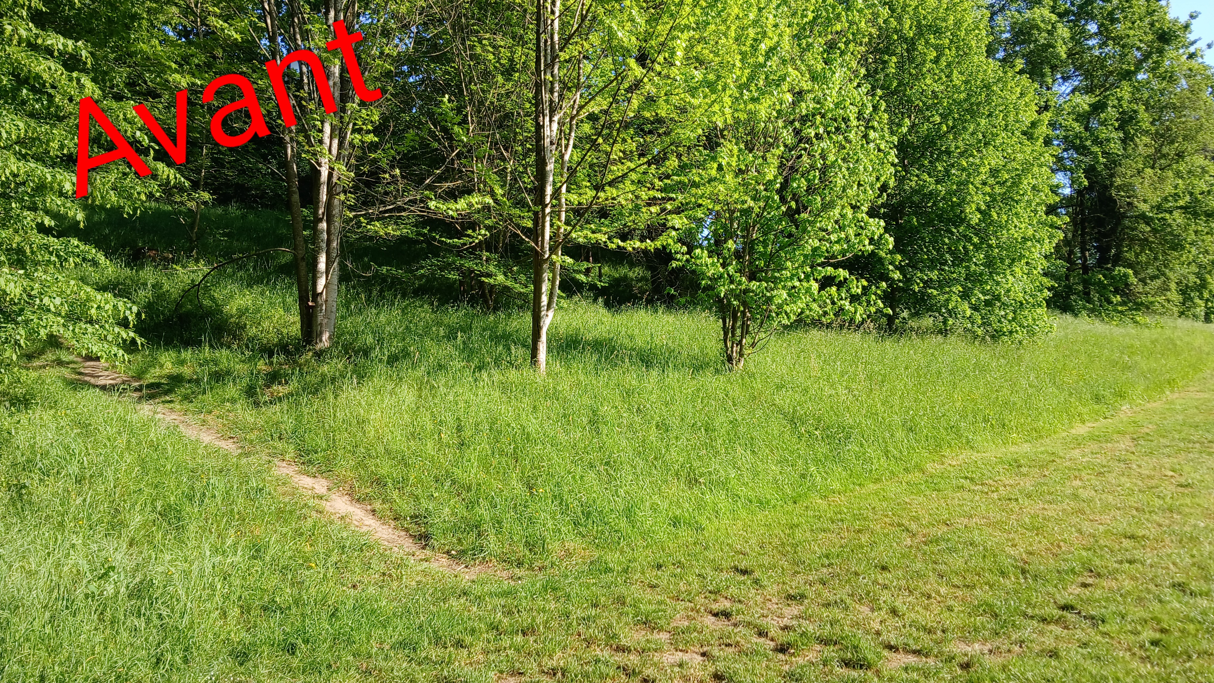 before-image