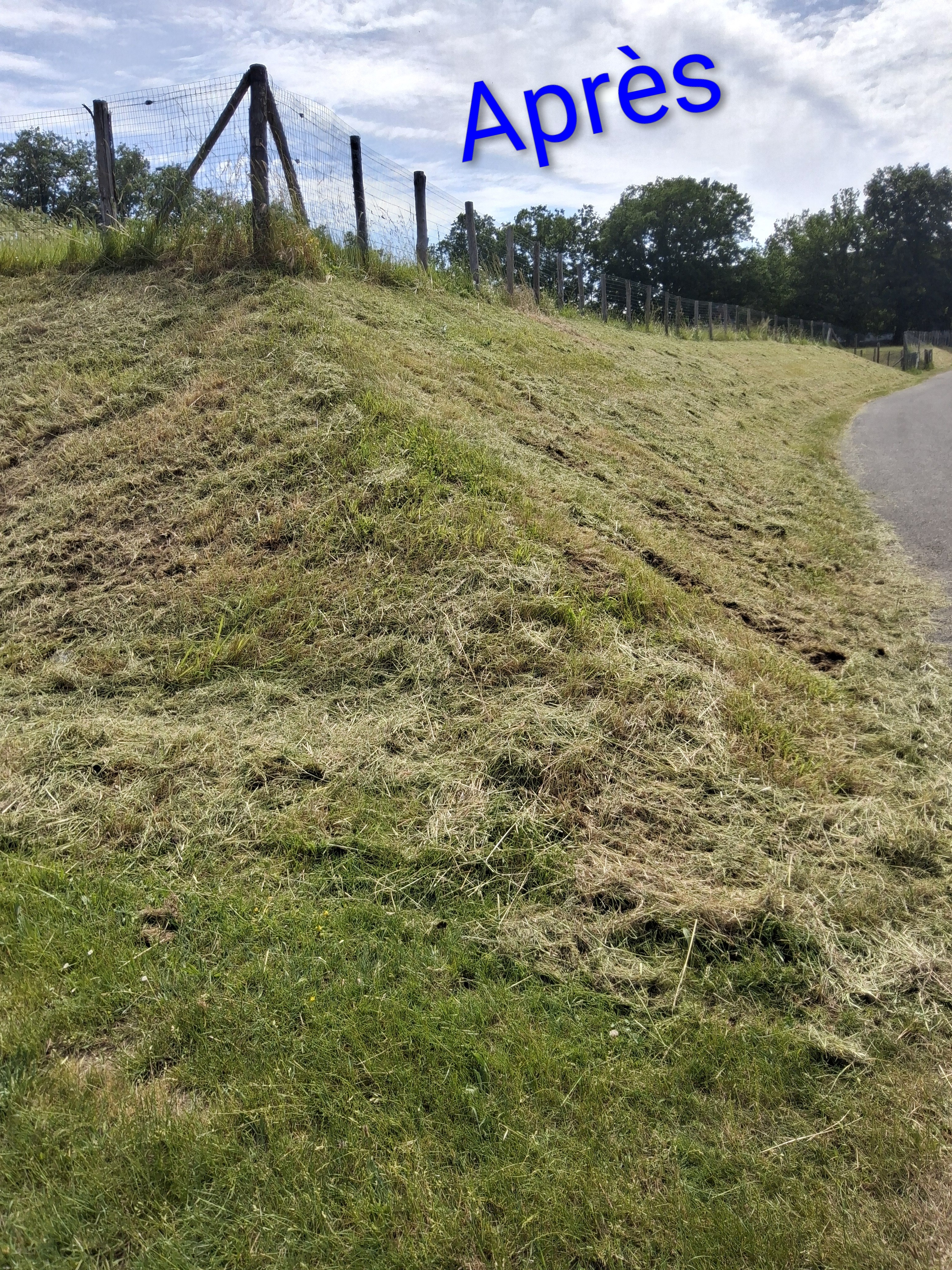 after-image