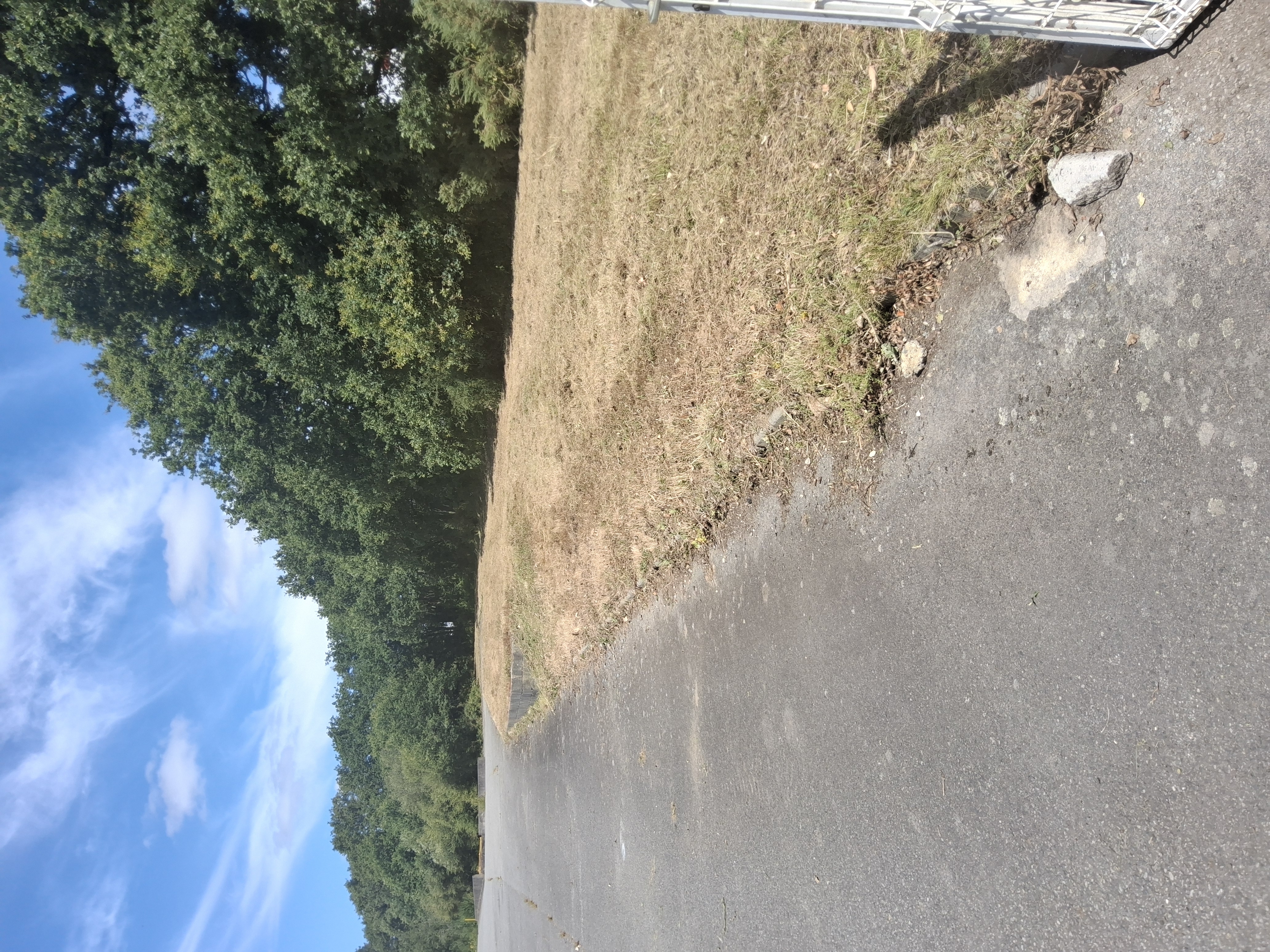 after-image