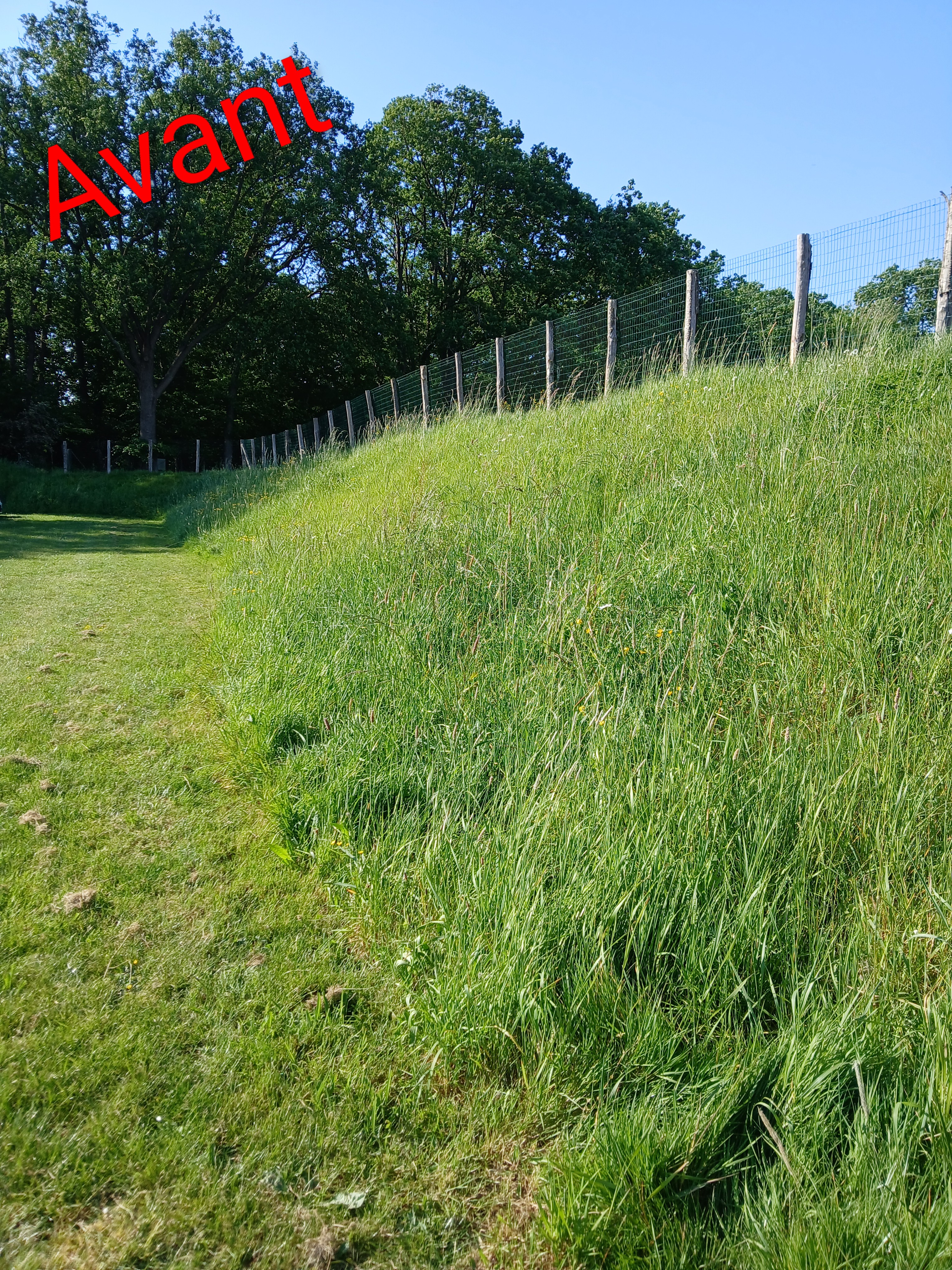 before-image